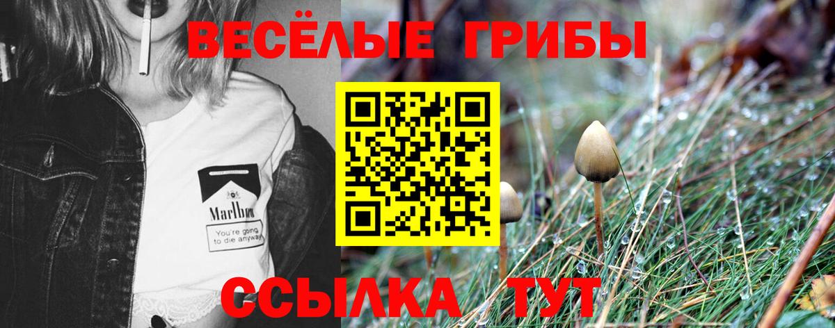 Псилоцибиновые грибы мухоморы Новочебоксарск