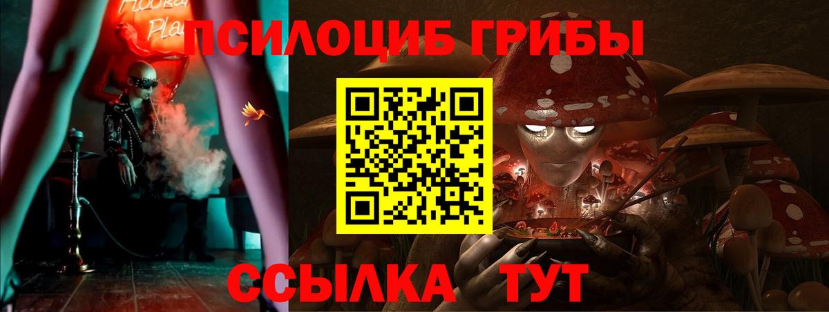 Новочебоксарск  Псилоцибиновые грибы Cubensis  Вход с VPN 